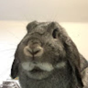 Meet your Posher, Ingrid